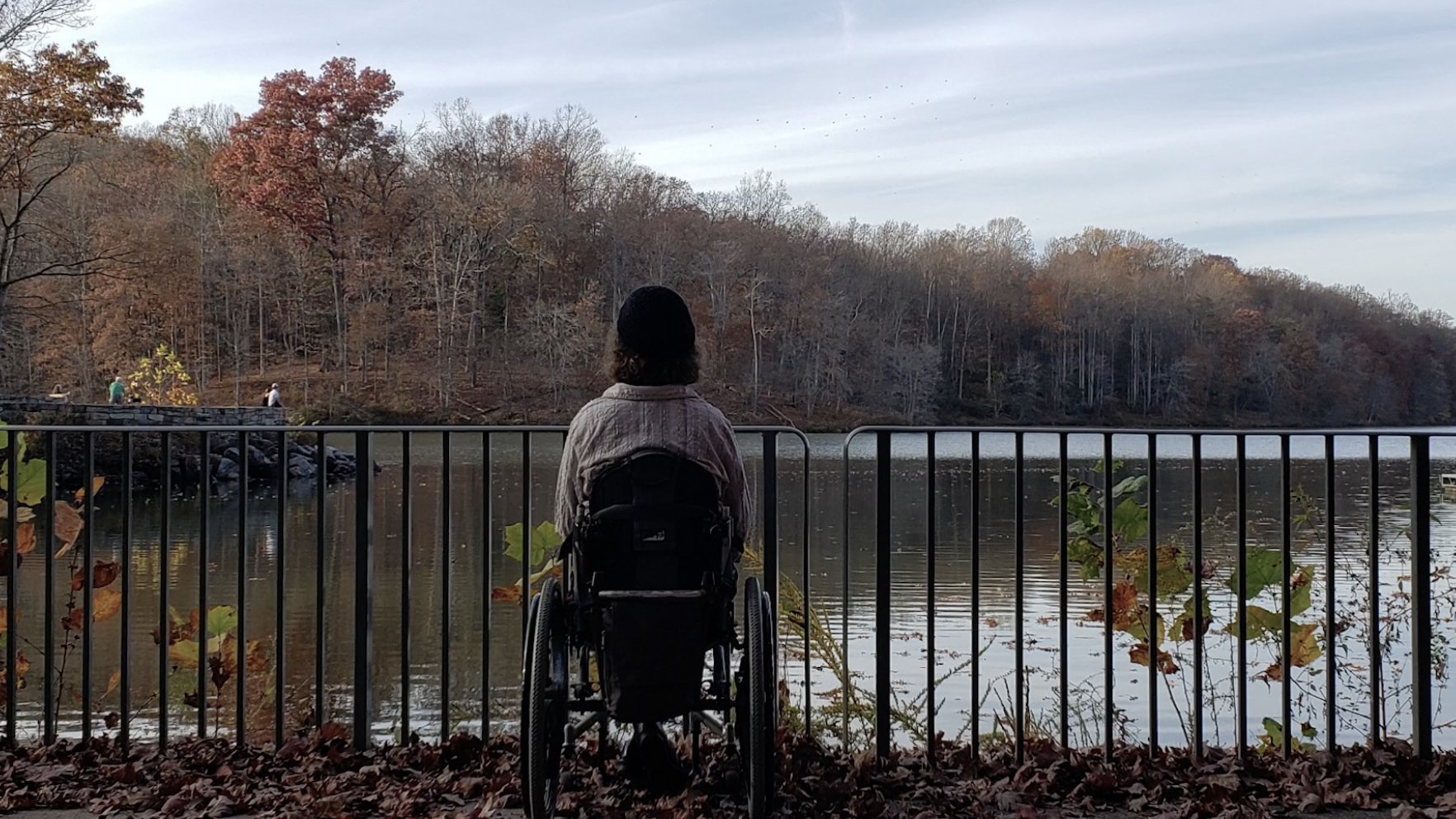 The Disability and Ecology Performance Exchange
